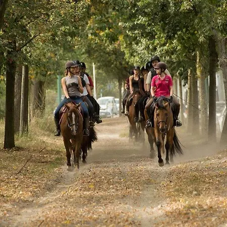 Neuf Cosy Entre Paris Et Disneyland Apartamento Bry-sur-Marne