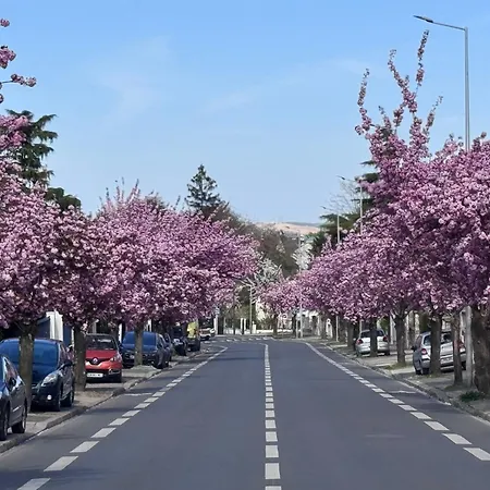 Neuf Cosy Entre Paris Et Disneyland * Bry-sur-Marne
